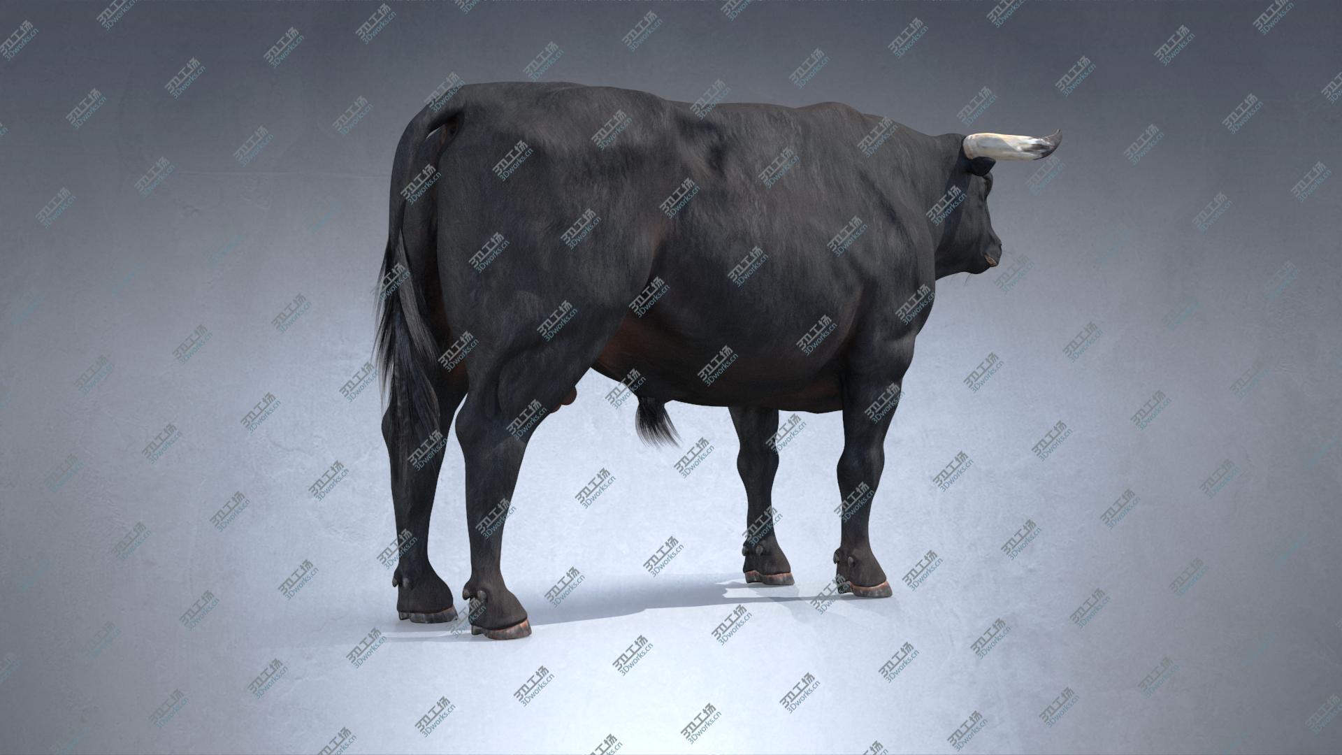 images/goods_img/20210319/Bull PBR(1) model/4.jpg